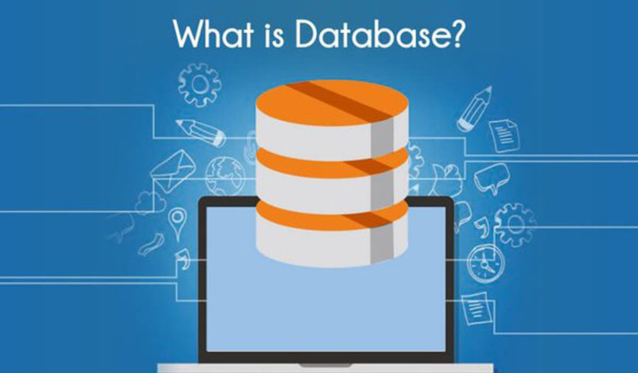 What is Database and what are the different types of Databases used in web development?